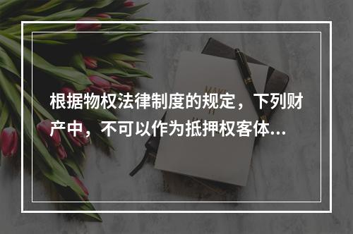 根据物权法律制度的规定，下列财产中，不可以作为抵押权客体的是