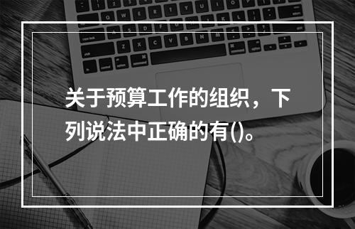 关于预算工作的组织，下列说法中正确的有()。