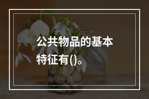 公共物品的基本特征有()。