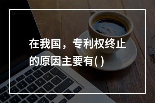 在我国，专利权终止的原因主要有( )