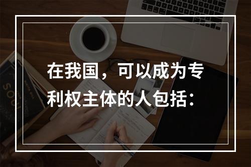 在我国，可以成为专利权主体的人包括：