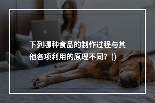 下列哪种食品的制作过程与其他各项利用的原理不同？()