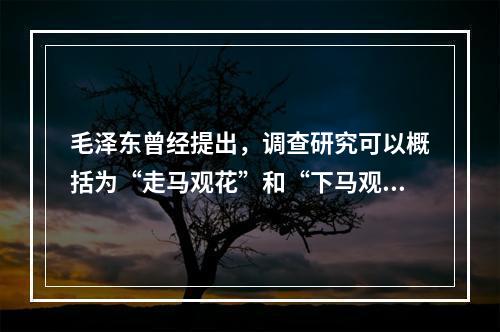 毛泽东曾经提出，调查研究可以概括为“走马观花”和“下马观花”