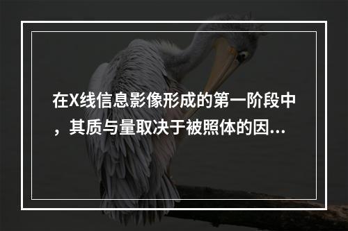 在X线信息影像形成的第一阶段中，其质与量取决于被照体的因素是