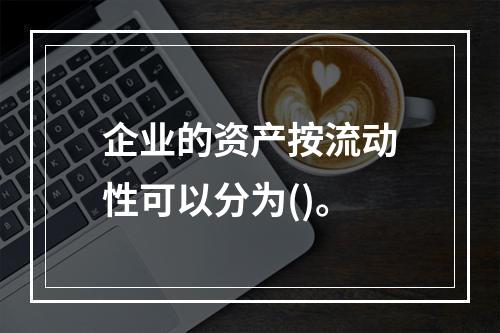 企业的资产按流动性可以分为()。