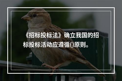 《招标投标法》确立我国的招标投标活动应遵循()原则。