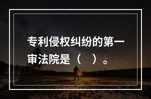 专利侵权纠纷的第一审法院是（　）。