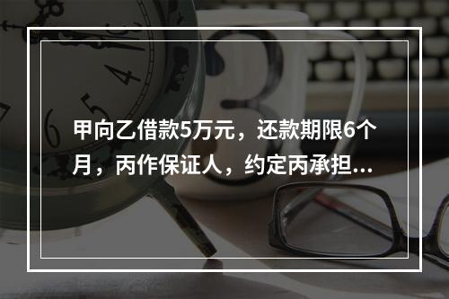 甲向乙借款5万元，还款期限6个月，丙作保证人，约定丙承担保证