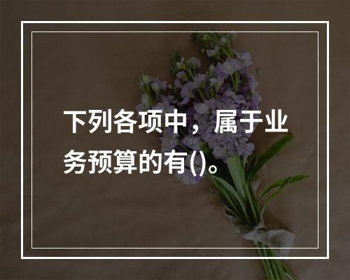 下列各项中，属于业务预算的有()。