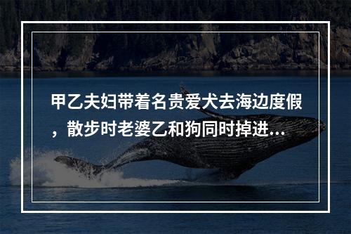 甲乙夫妇带着名贵爱犬去海边度假，散步时老婆乙和狗同时掉进海里