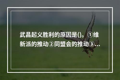 武昌起义胜利的原因是()。①维新派的推动②同盟会的推动③三民