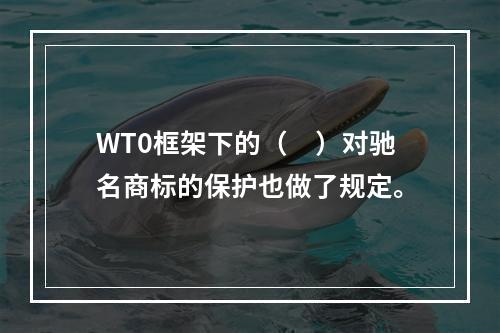 WT0框架下的（　）对驰名商标的保护也做了规定。