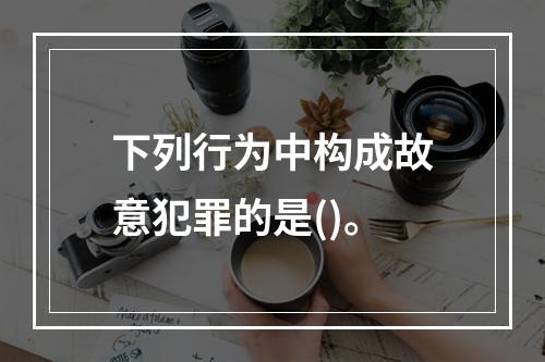 下列行为中构成故意犯罪的是()。