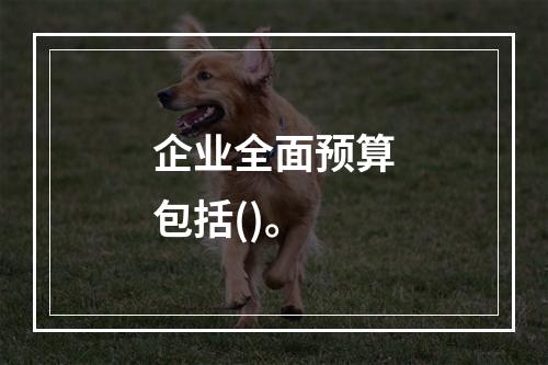 企业全面预算包括()。