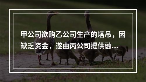 甲公司欲购乙公司生产的塔吊，因缺乏资金，遂由丙公司提供融资租