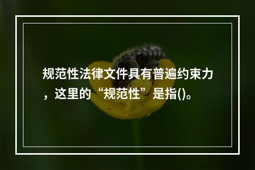 规范性法律文件具有普遍约束力，这里的“规范性”是指()。