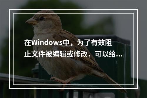 在Windows中，为了有效阻止文件被编辑或修改，可以给文件