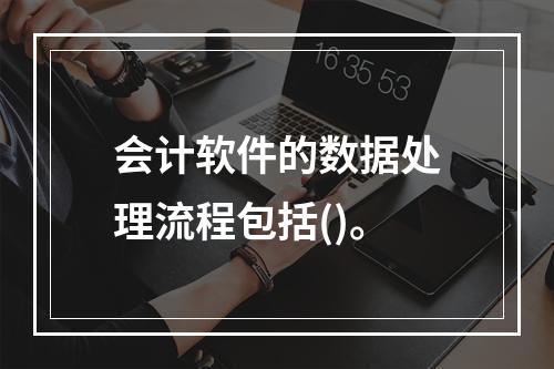 会计软件的数据处理流程包括()。