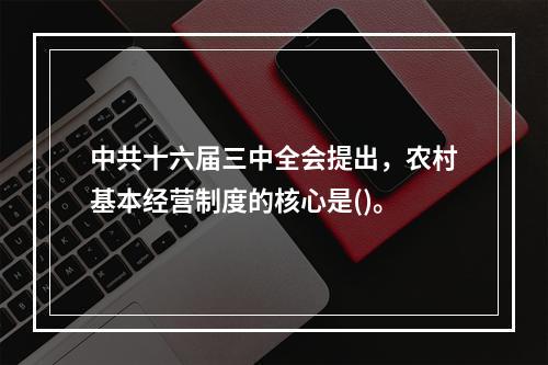 中共十六届三中全会提出，农村基本经营制度的核心是()。