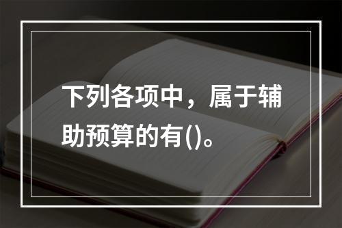 下列各项中，属于辅助预算的有()。