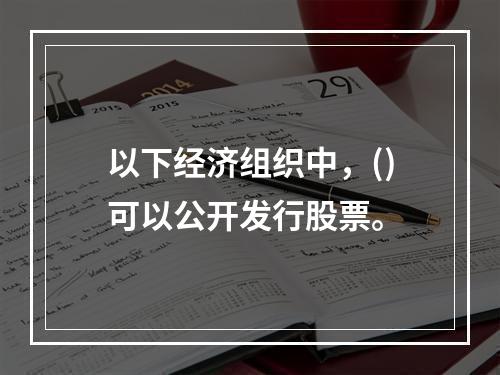 以下经济组织中，()可以公开发行股票。