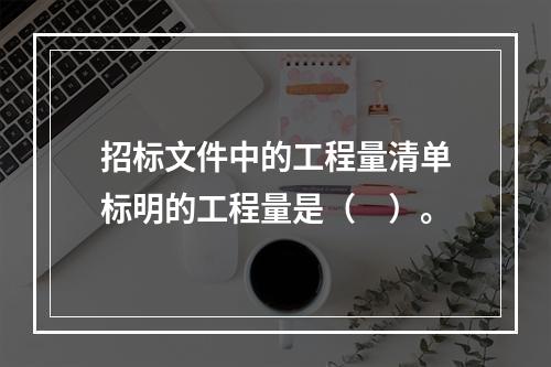 招标文件中的工程量清单标明的工程量是（　）。