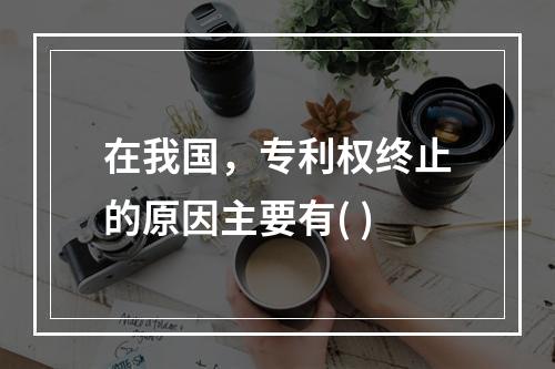 在我国，专利权终止的原因主要有( )