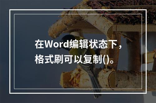 在Word编辑状态下，格式刷可以复制()。