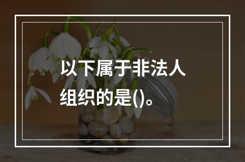 以下属于非法人组织的是()。