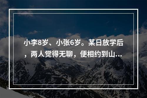 小李8岁、小张6岁。某日放学后，两人觉得无聊，便相约到山上玩