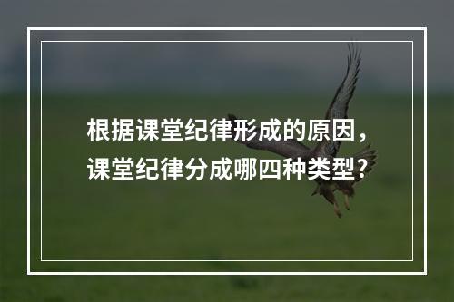 根据课堂纪律形成的原因，课堂纪律分成哪四种类型?