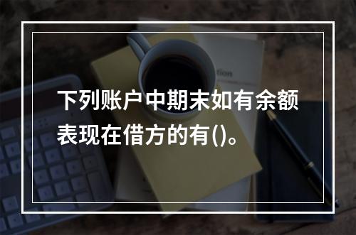 下列账户中期末如有余额表现在借方的有()。