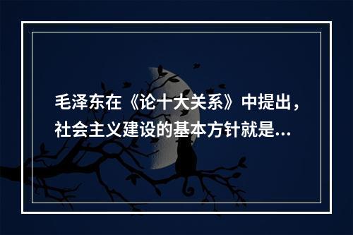 毛泽东在《论十大关系》中提出，社会主义建设的基本方针就是“统