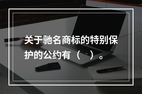 关于驰名商标的特别保护的公约有（　）。