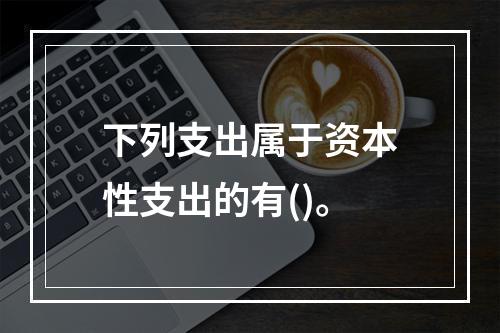 下列支出属于资本性支出的有()。