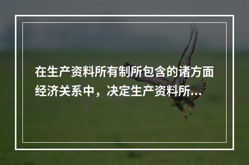 在生产资料所有制所包含的诸方面经济关系中，决定生产资料所有制