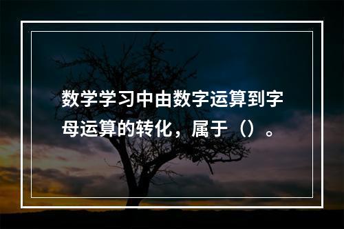 数学学习中由数字运算到字母运算的转化，属于（）。