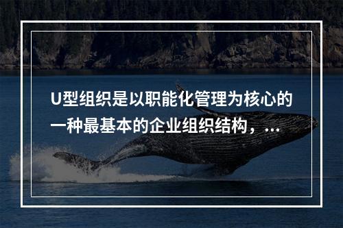 U型组织是以职能化管理为核心的一种最基本的企业组织结构，其典