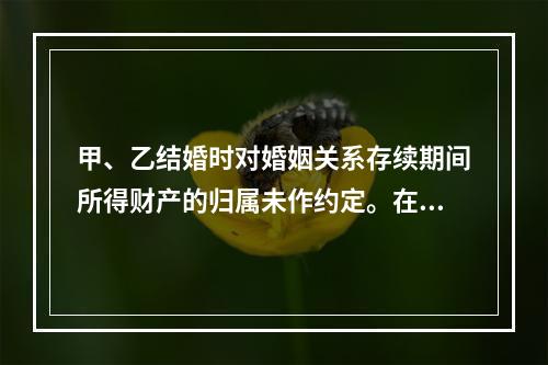 甲、乙结婚时对婚姻关系存续期间所得财产的归属未作约定。在婚姻