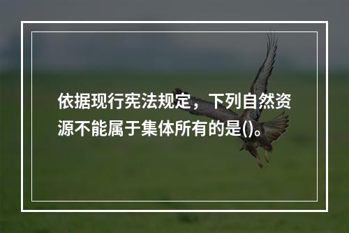 依据现行宪法规定，下列自然资源不能属于集体所有的是()。