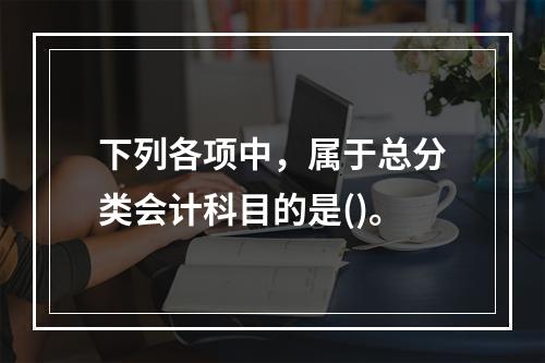 下列各项中，属于总分类会计科目的是()。