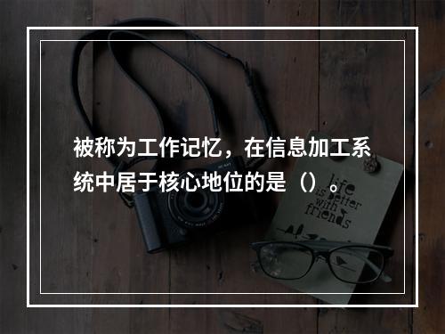 被称为工作记忆，在信息加工系统中居于核心地位的是（）。