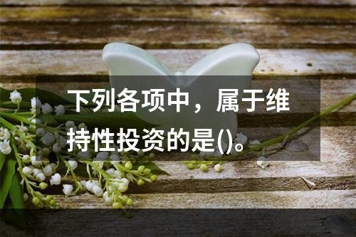 下列各项中，属于维持性投资的是()。