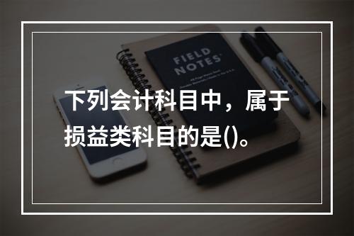 下列会计科目中，属于损益类科目的是()。