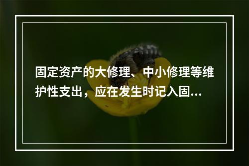 固定资产的大修理、中小修理等维护性支出，应在发生时记入固定资