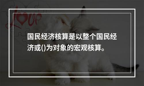 国民经济核算是以整个国民经济或()为对象的宏观核算。