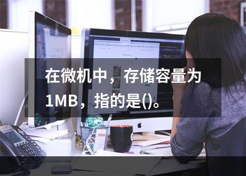 在微机中，存储容量为1MB，指的是()。