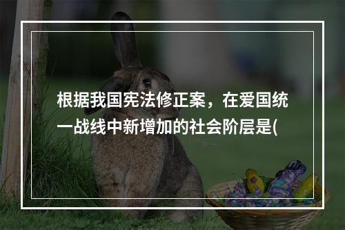 根据我国宪法修正案，在爱国统一战线中新增加的社会阶层是(