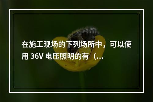 在施工现场的下列场所中，可以使用 36V 电压照明的有（ ）