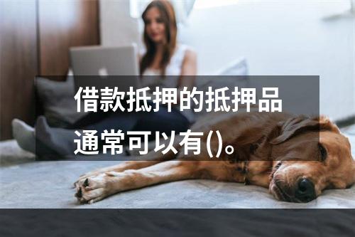 借款抵押的抵押品通常可以有()。